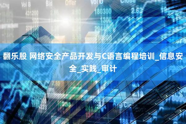 翻乐股 网络安全产品开发与C语言编程培训_信息安全_实践_审计